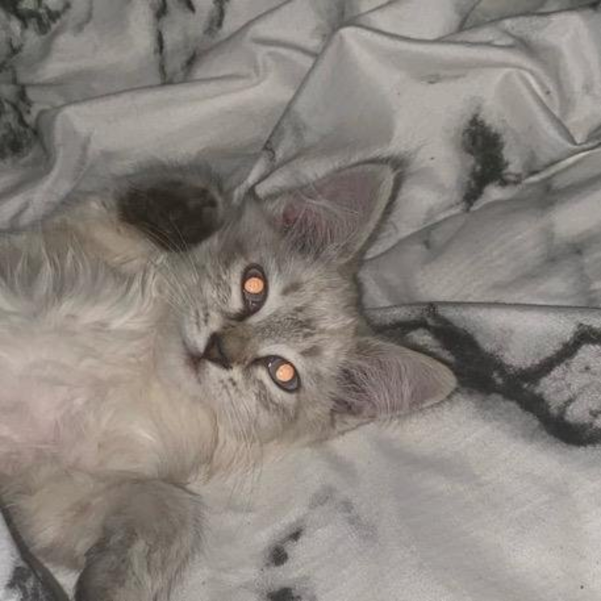 Қысқа юбкадағы бөкселер