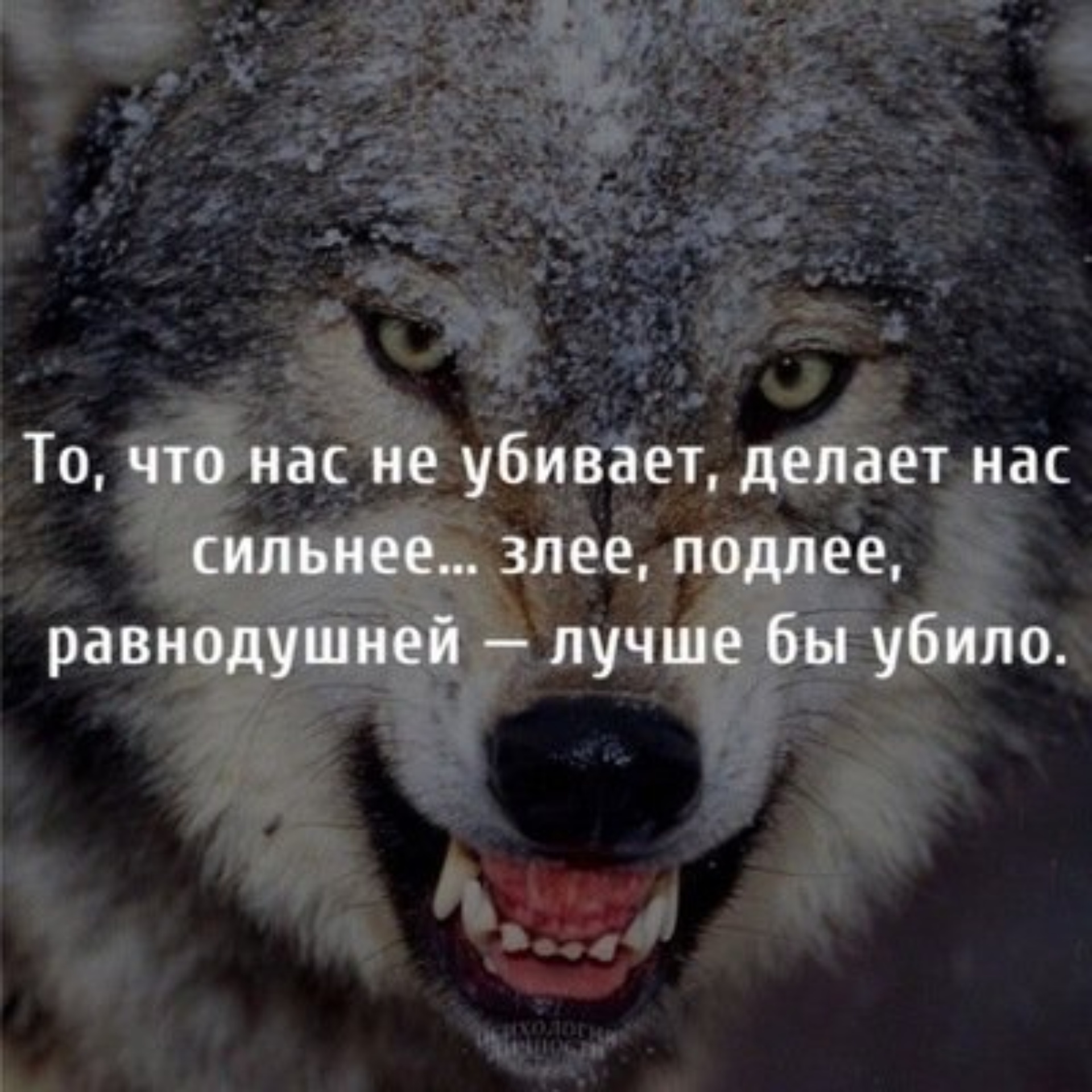 Всё что не убивает нас — делает нас СИЛЬНЕЕ… – Фридрих Ницше