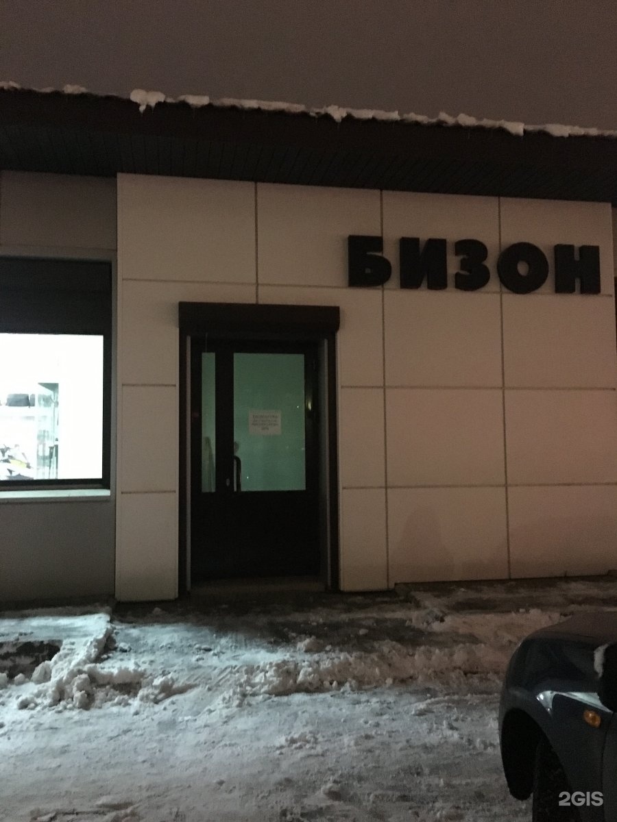 Бизон