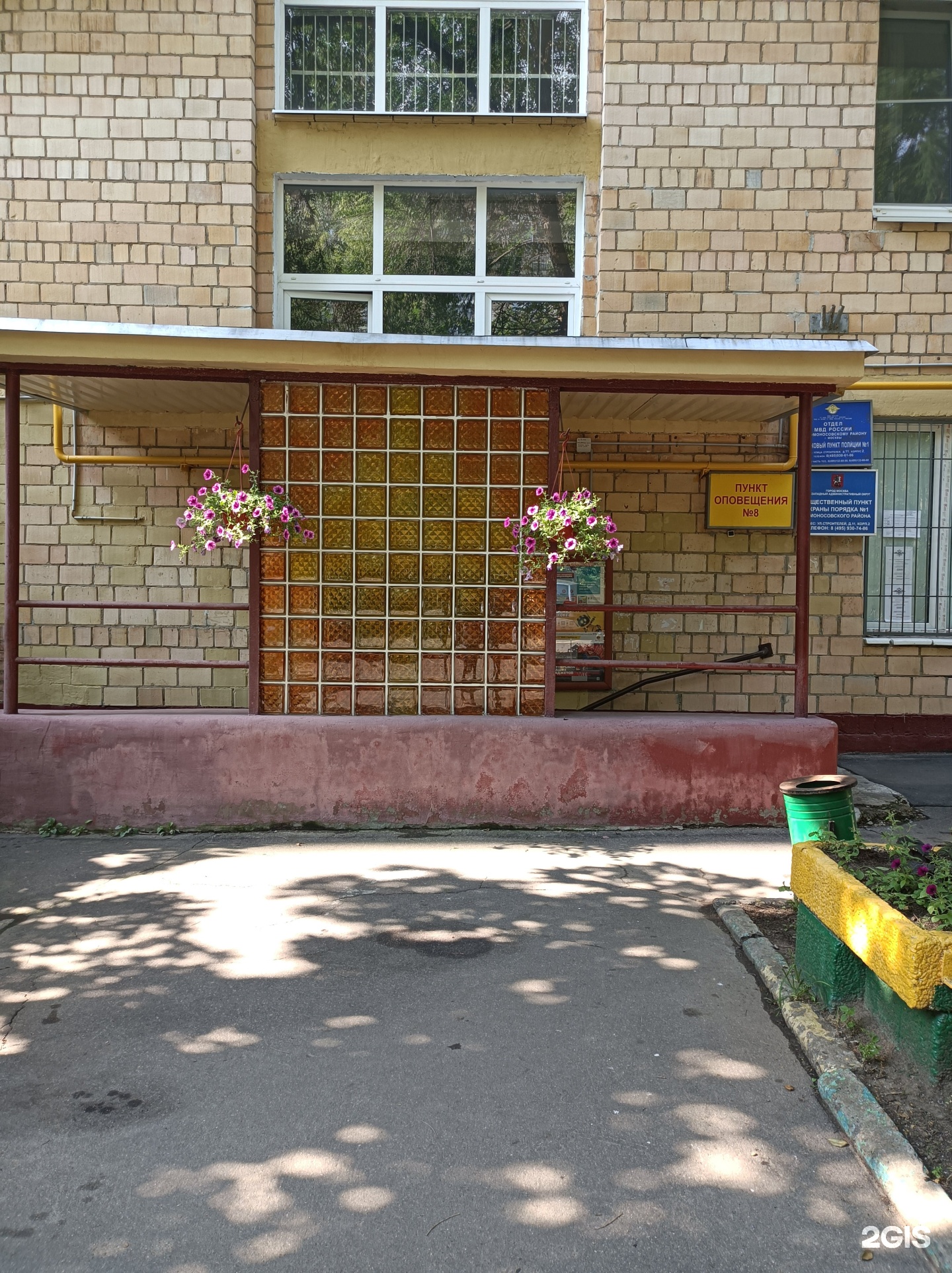 Изображение организации