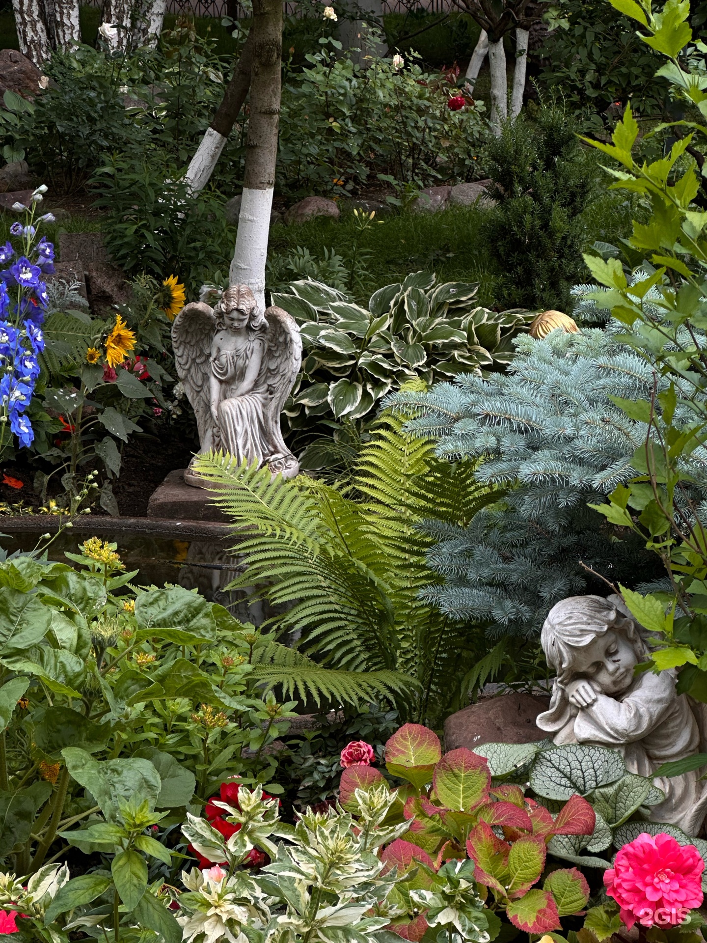 Изображение фирмы