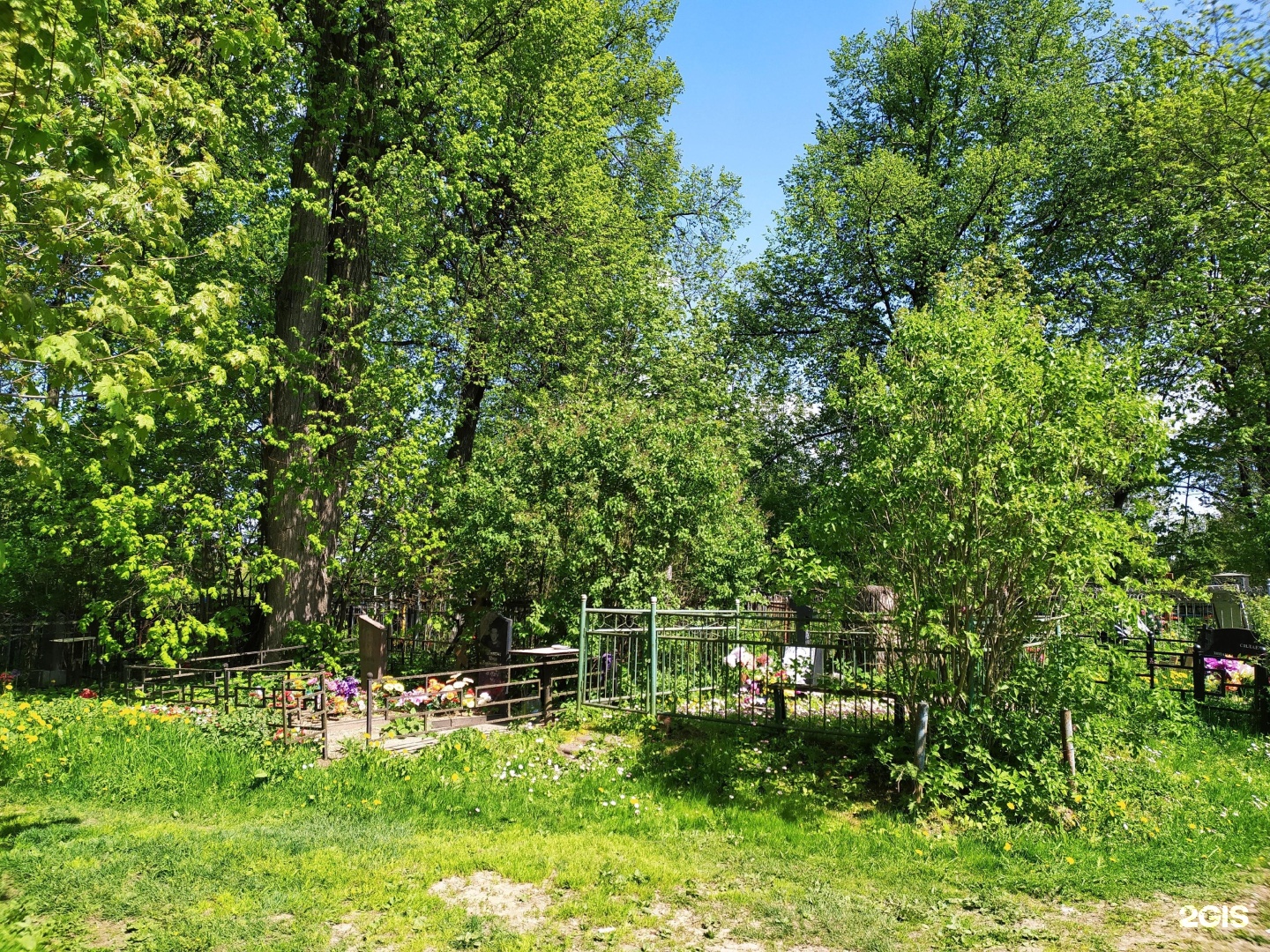 Изображение организации