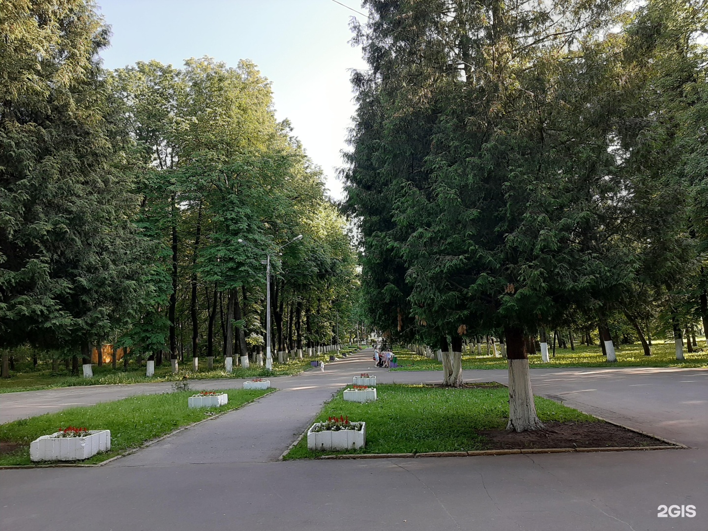 парк в коломне фото