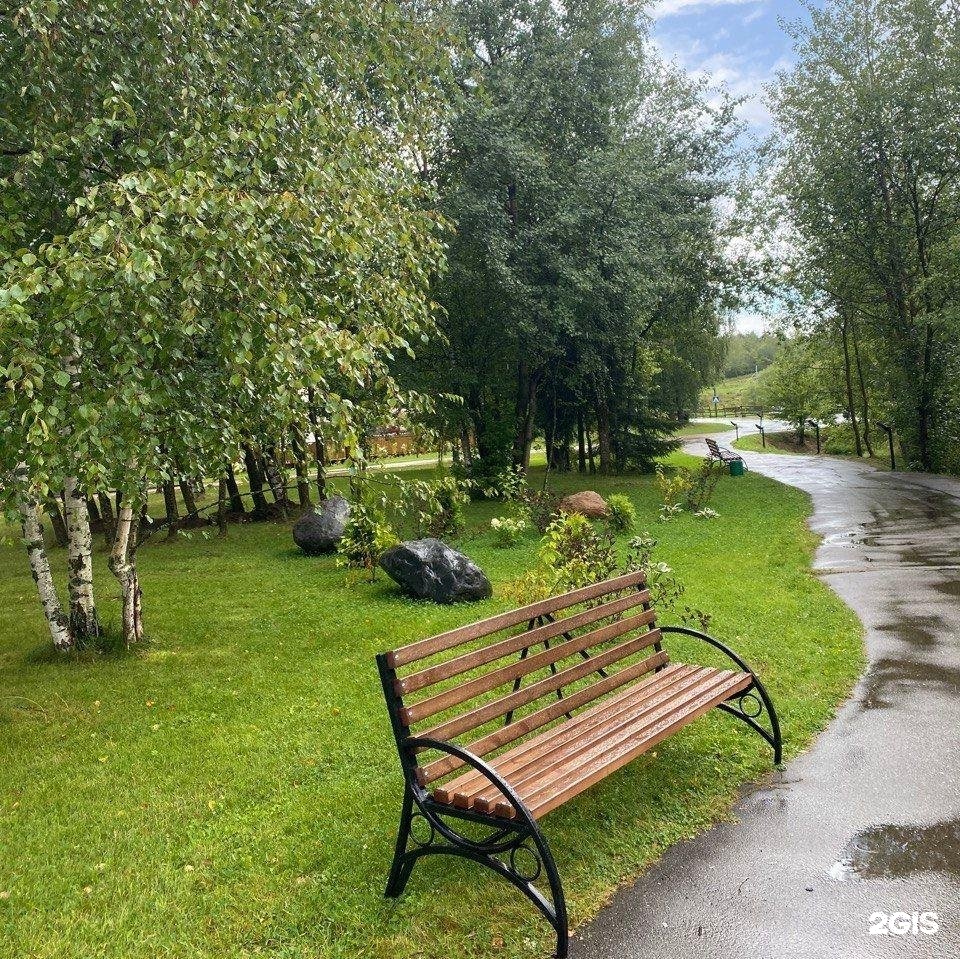 Изображение организации