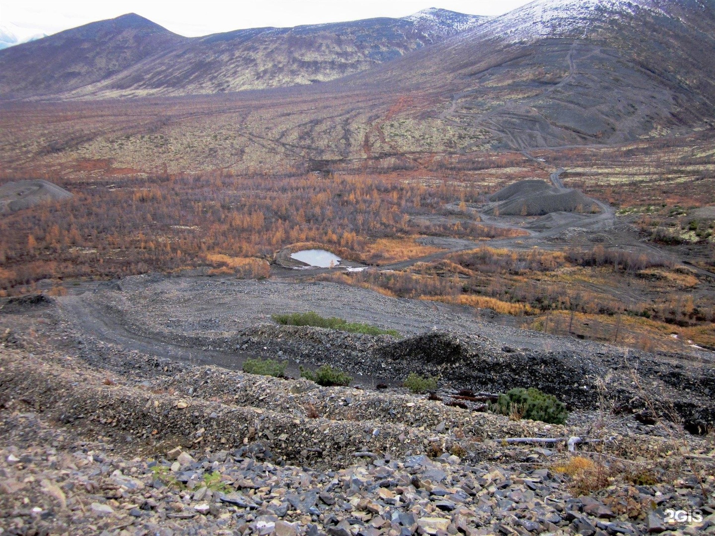 Изображение организации