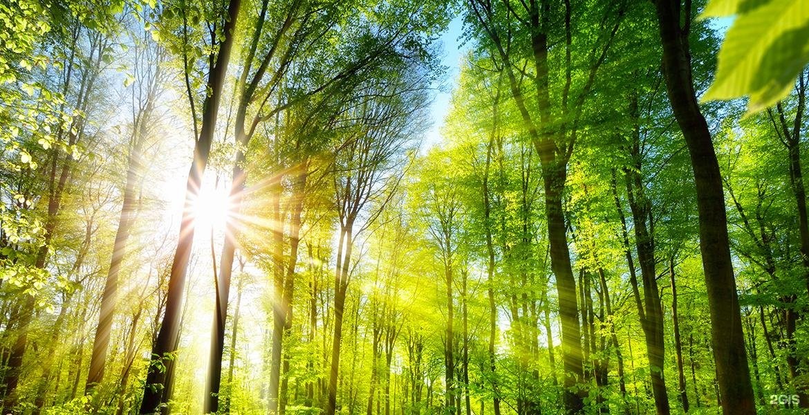 Изображение организации