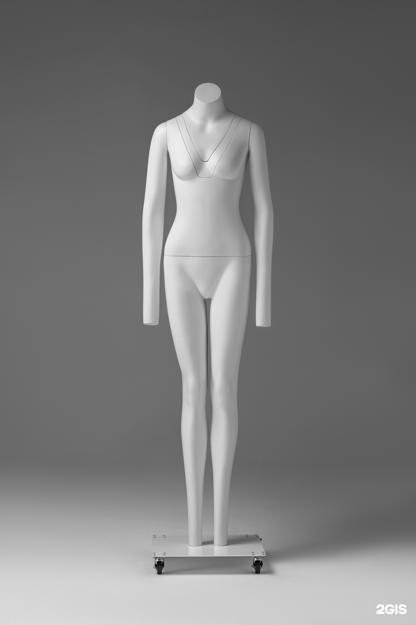 Изображение организации