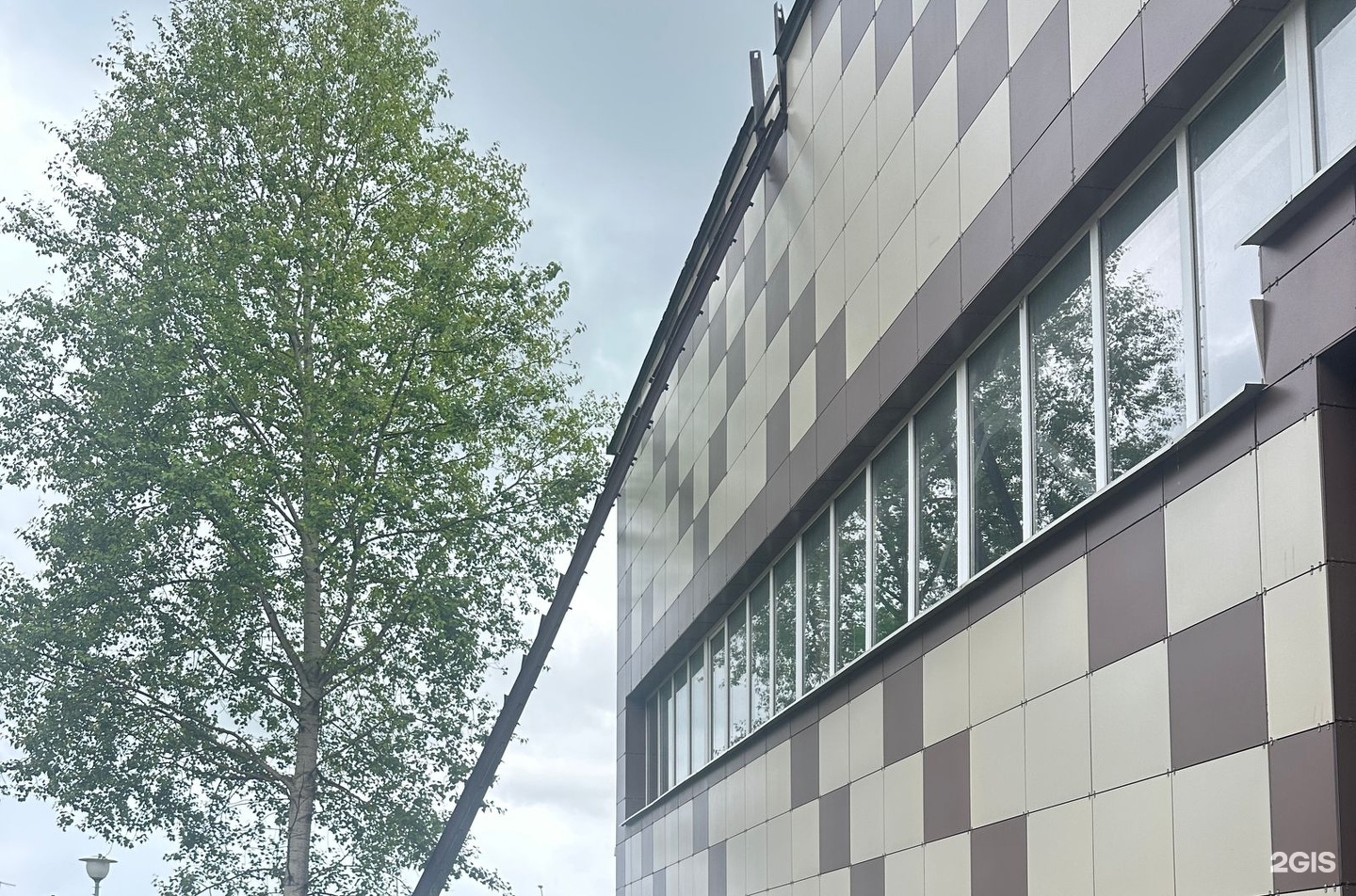 Изображение организации