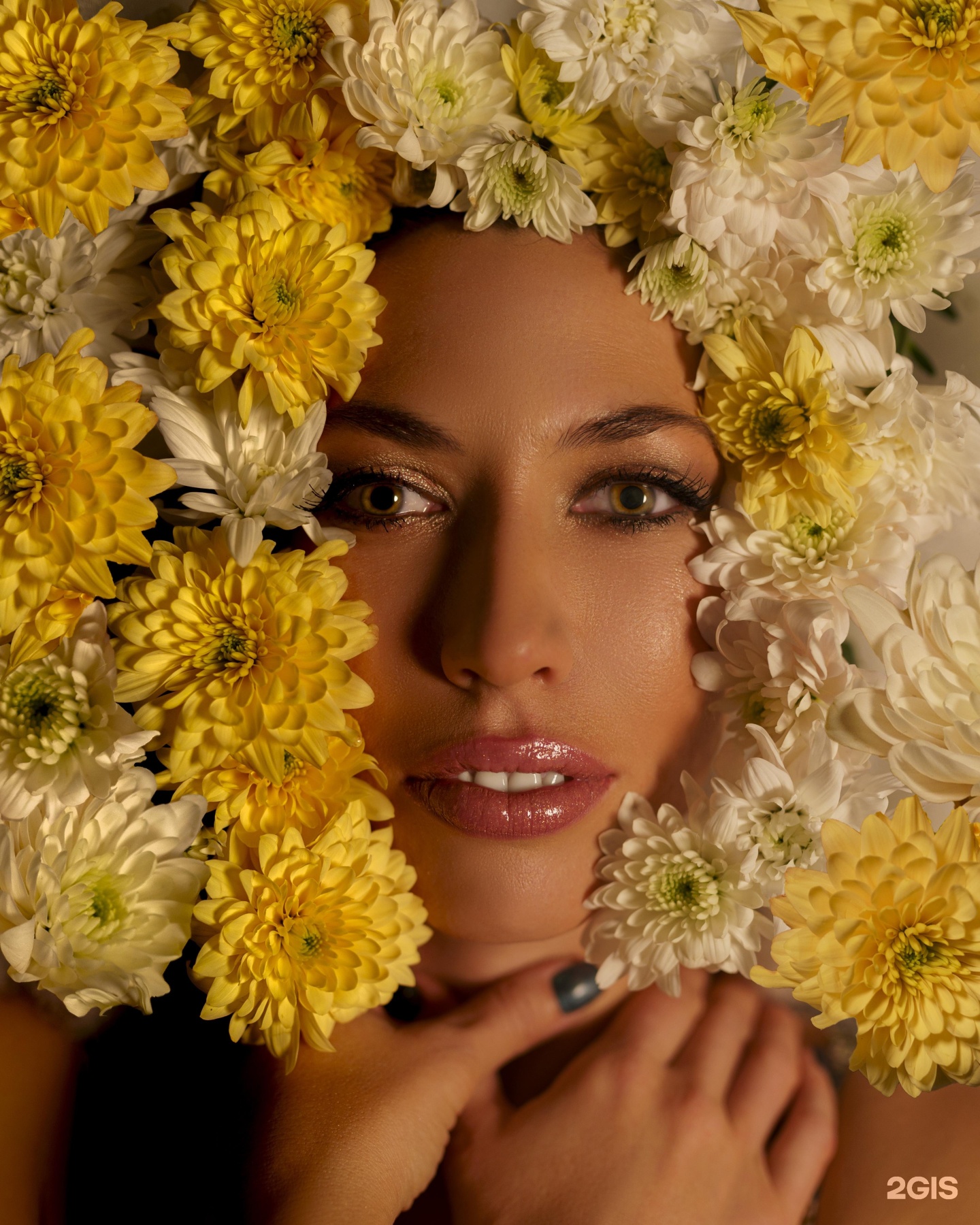 Изображение организации