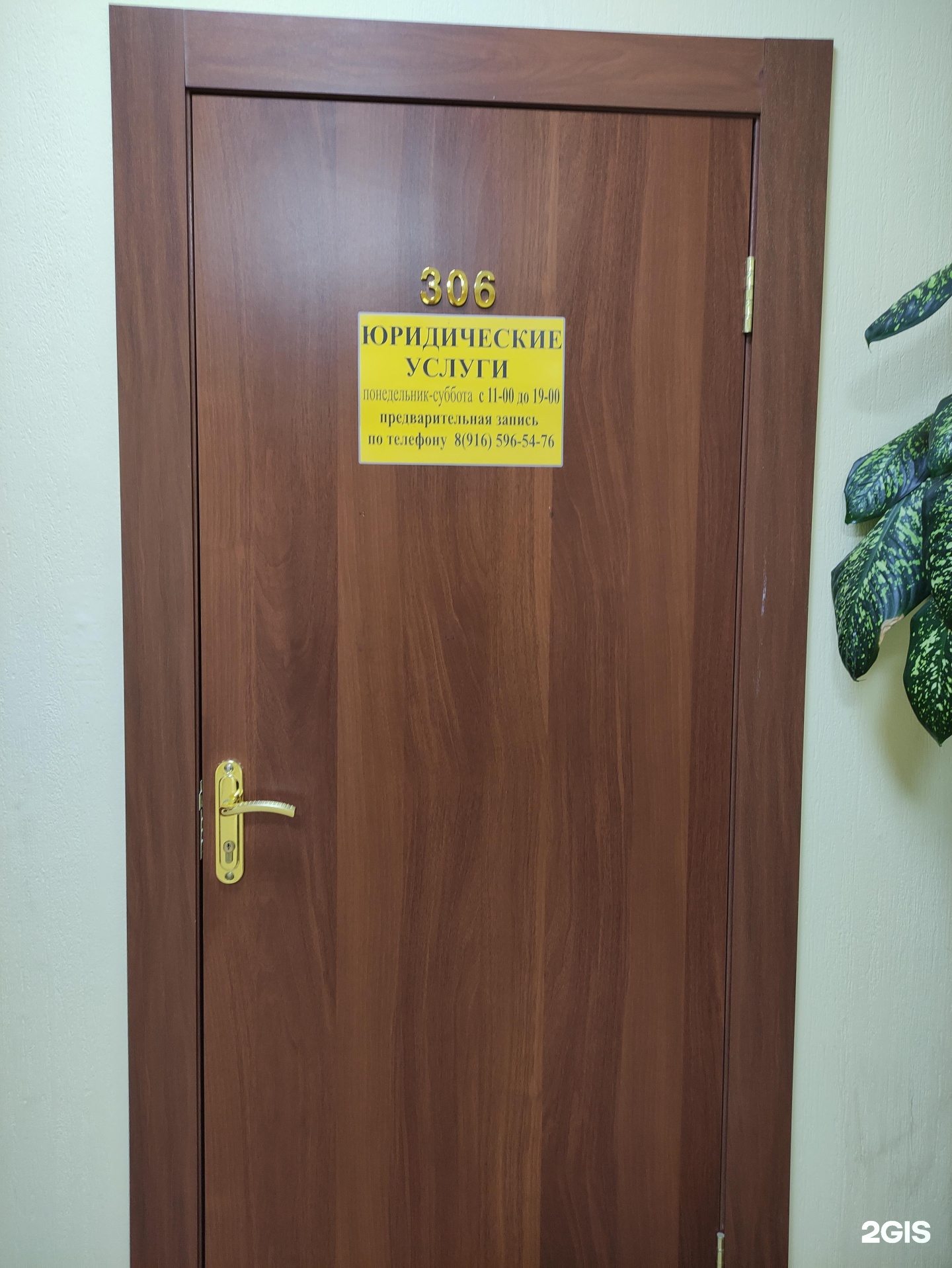 Изображение организации