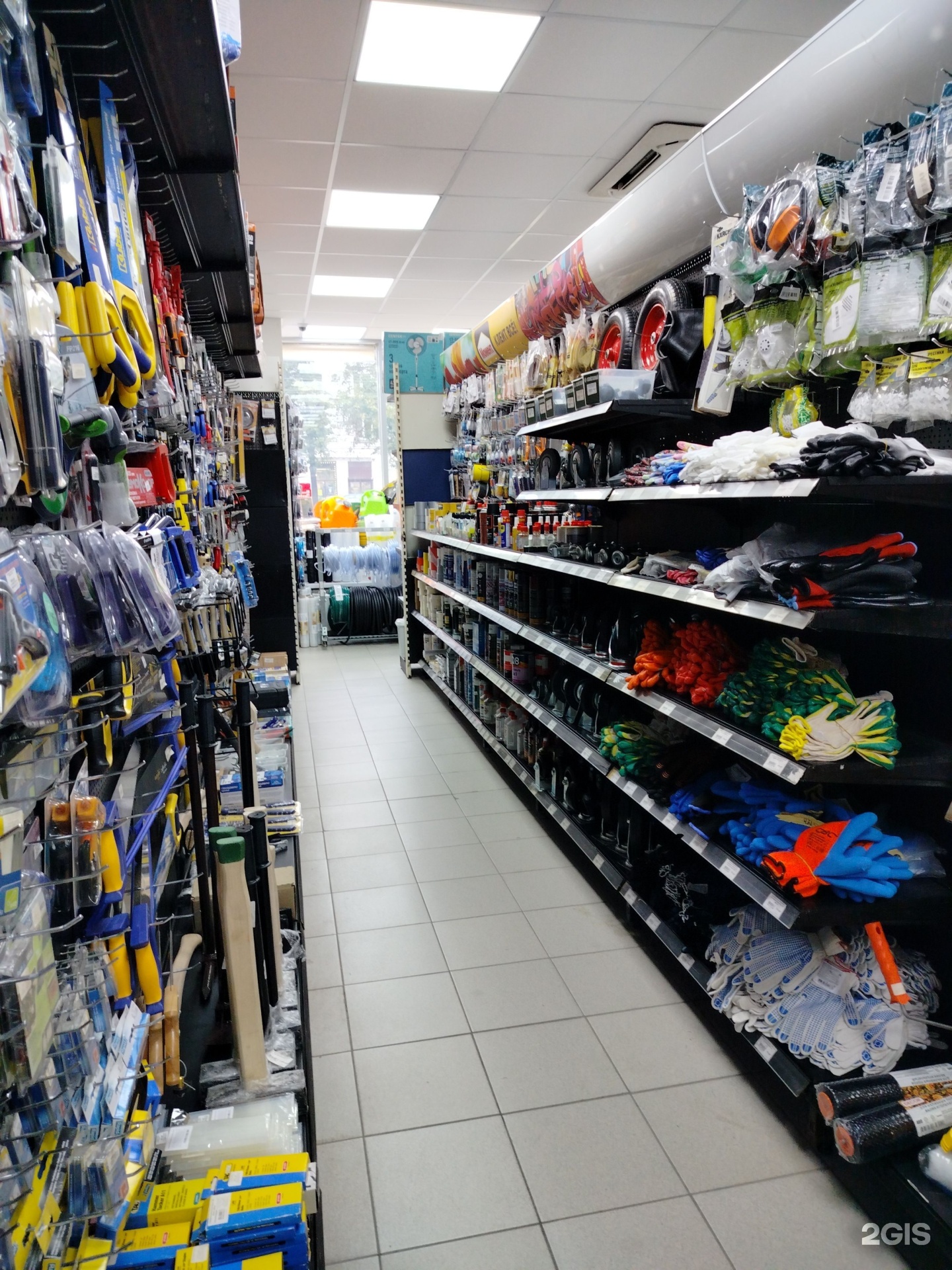 Изображение организации