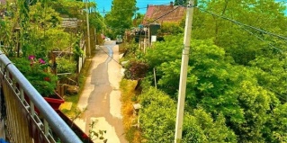 Гагра: Коттедж Панорама
