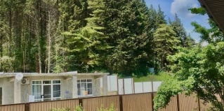 Сочи: Гостевой дом Тропики