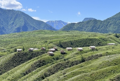 Кош-Агачский район: Глэмпинг Выше гор Курай