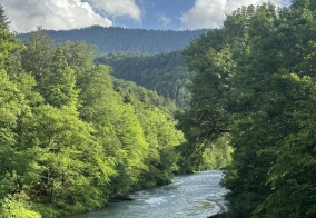 Коттедж Эколодж в Даховской