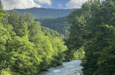 ст-ца Даховская: Отель Эколодж