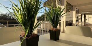 Геленджик: Гостевой дом Елизавета