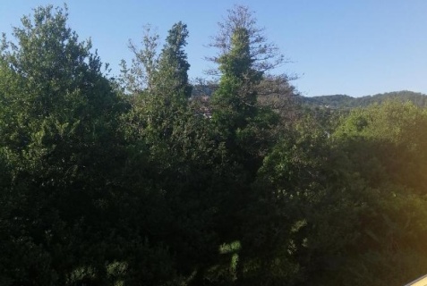 Лоо: Отель Южная Рапсодия