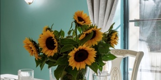 Москва: Отель Луна и лотос