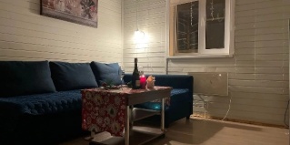 Большая Ижора: Коттедж На Лесной