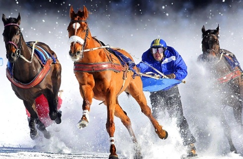 с. Журавка: Отель Журавка