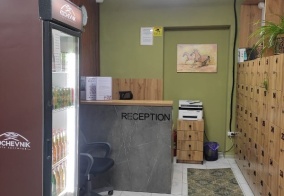 Хостел Kochevnik в Алматы