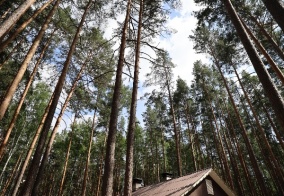 Турбаза ДухЛес в Свердловской области