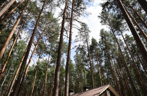 Заречный муниципальный округ: Турбаза ДухЛес