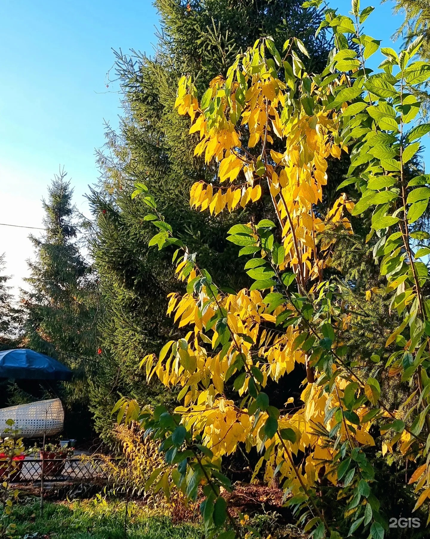 Баня на Асане