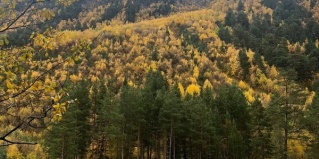 Терскол: Гостевой дом Ала-Тау