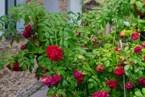 Чебоксары: Турбаза Лента