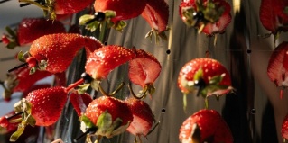 Заречный муниципальный округ: Турбаза ДухЛес