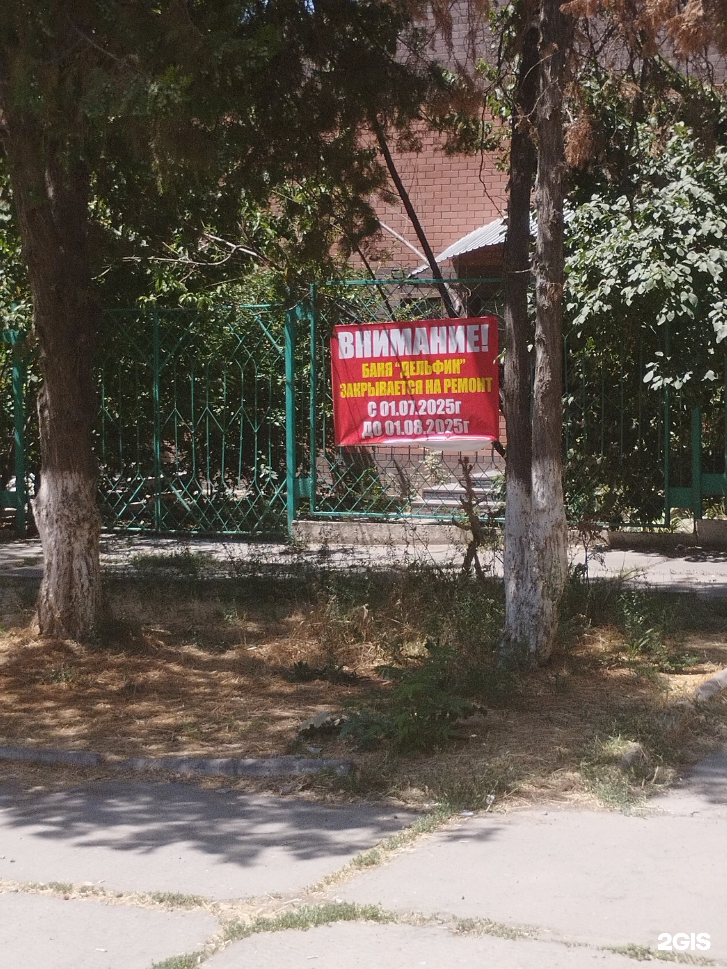 Дельфин
