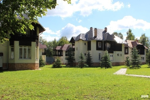 Домодедово: Отель Ёлочки