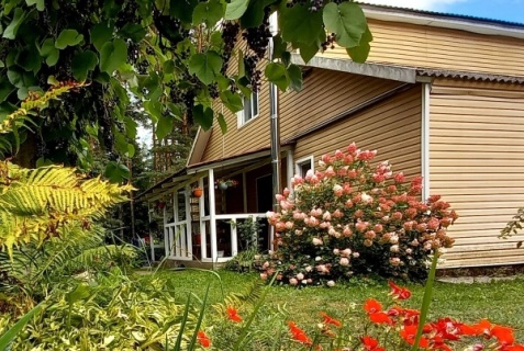 Пушкинские Горы: Коттедж Дом у сосен