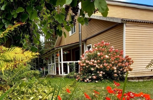 рп. Пушкинские Горы: Коттедж Дом у сосен