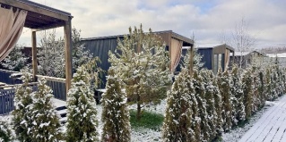 Минеево: Глэмпинг Pavlove Village