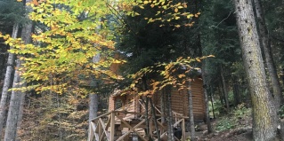 Домбай: Гостевой дом Домик в лесу