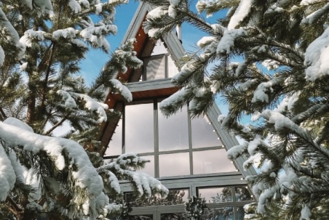 Березовский муниципальный округ: Глэмпинг BamBoo Village