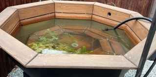 Архыз: Коттедж Силагор