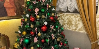 Санкт-Петербург: Отель Catherine Art Hotel