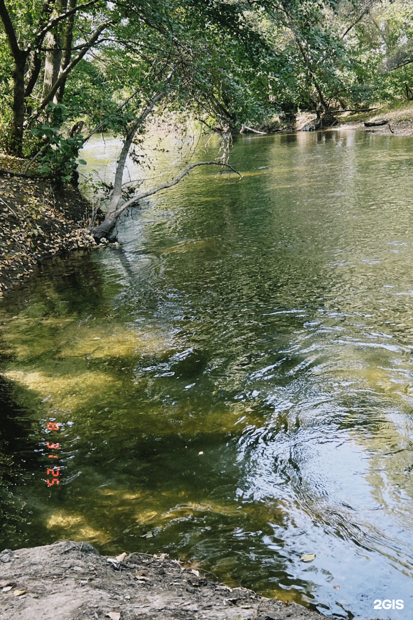 Salkyn Samal