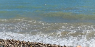 Гудаута: Мини-отель Сияние Солнца