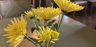 Ростов-на-Дону: Отель Магнолия