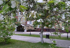 Отель Дружба в Жуковском