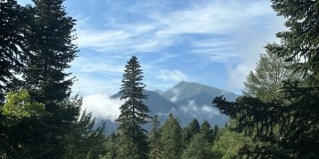 Архыз: Гостевой дом Архызgreen