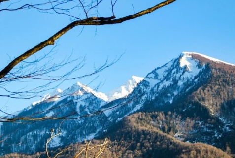 Красная Поляна: Глэмпинг Счастье в Горах