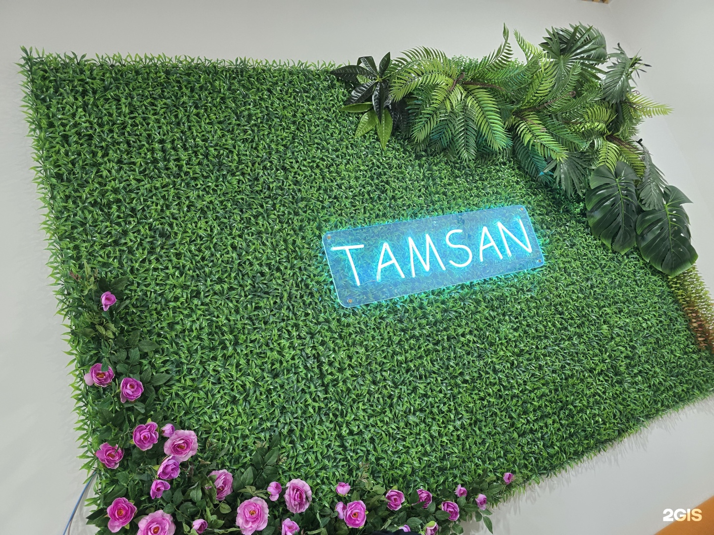 Tamsan