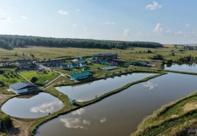 Турбаза Alekiann в Самарской области