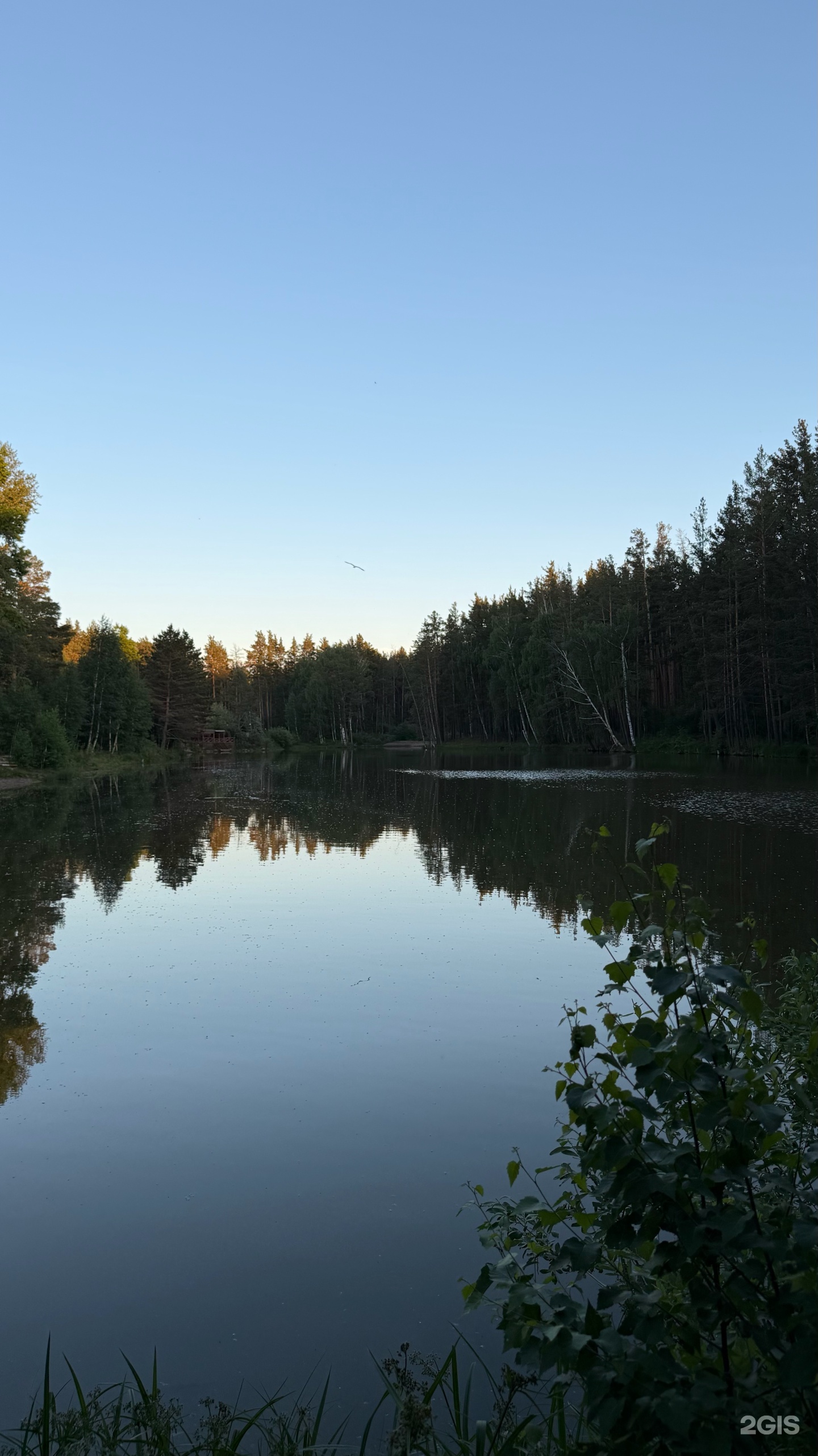 Guest house Forest and Lake